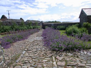 A large country house to rent in Devon