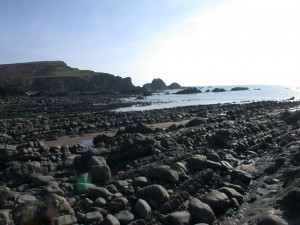 njoy exploring Berry Beach when you stay at this large house for a weekend or holiday